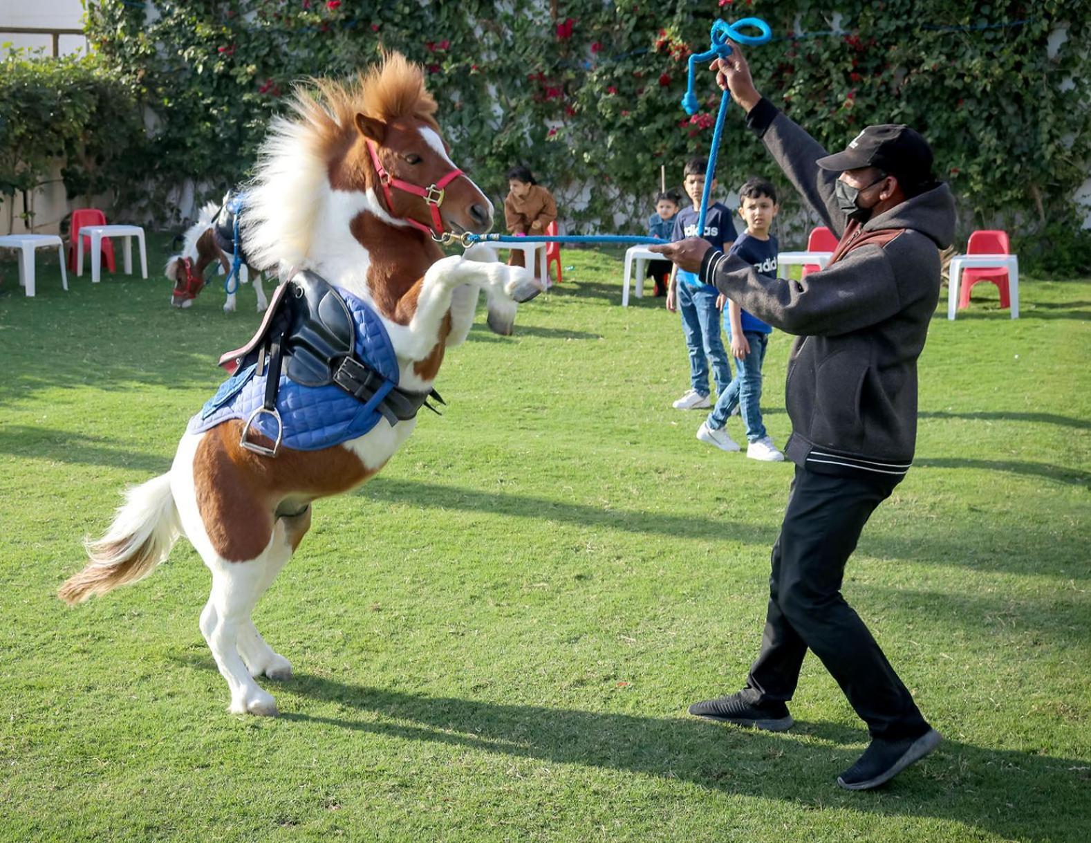 सहारा Lagoona Luxury And 5*