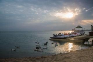 Lagoona Luxury And 5* Manama